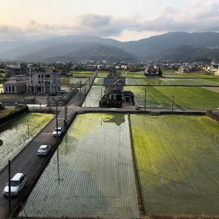 蘭陽平原稻田空拍